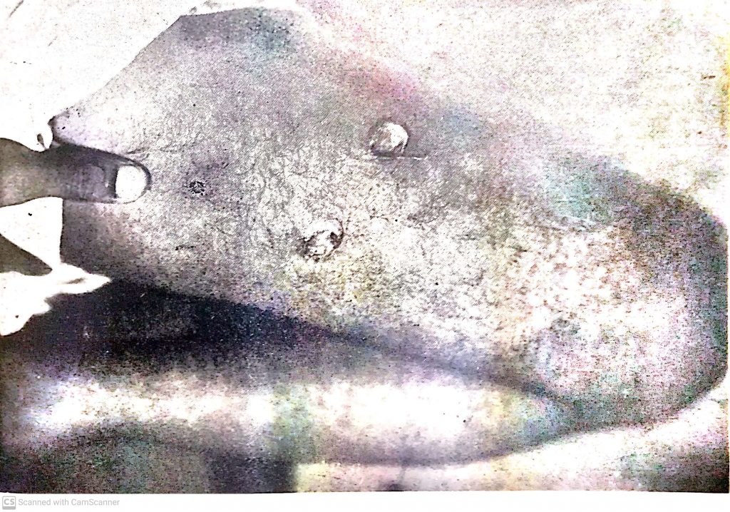 students' martyr day 4