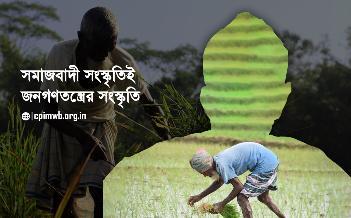 সমাজবাদী সংস্কৃতিই জনগণতন্ত্রের সংস্কৃতি