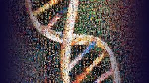 হিউম্যান জিনোম প্রসঙ্গে